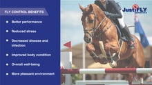 Load image into Gallery viewer, JustiFLY® Equine 8-8-8™ Top Dress (5 lb)
